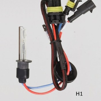 h1-hid-bulb